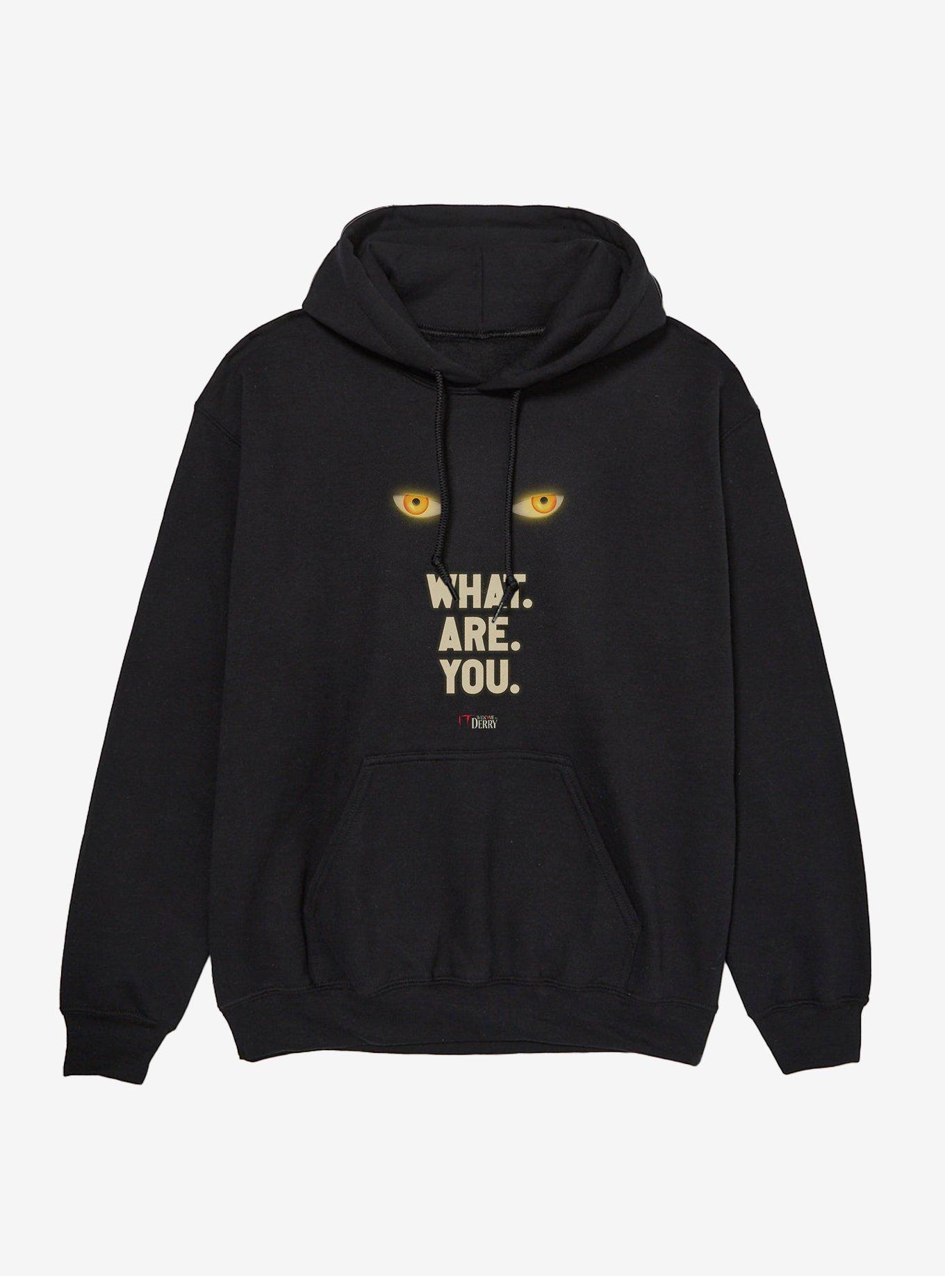IT Welcome To Derry What. Are. You. Hoodie