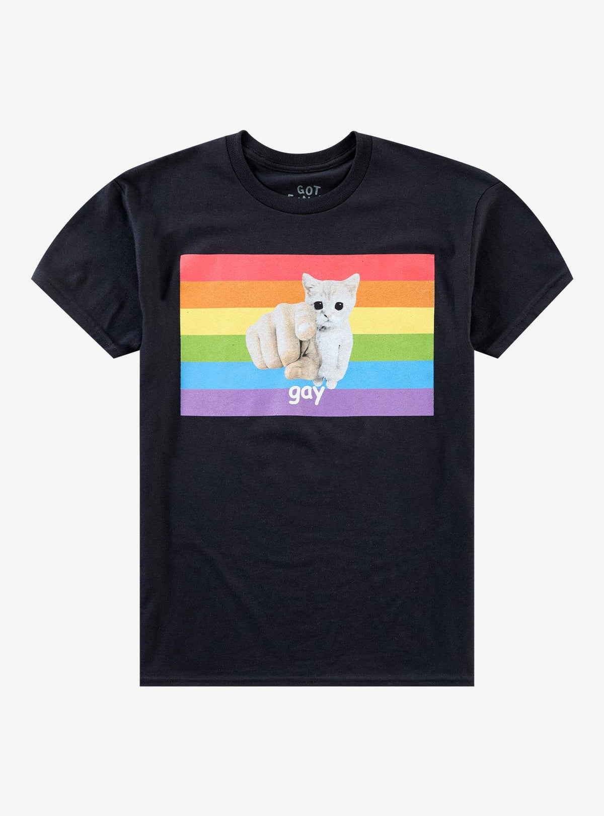 Cat Pointing Gay T-Shirt By Got Funny?