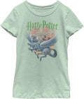 Harry Potter Kids Book Cover