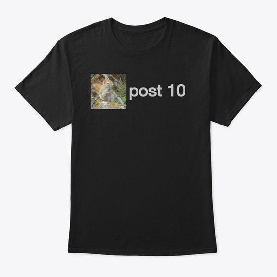 post 10 Squirrel Shirt | Premium Unisex T-Shirt