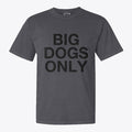 Big Dogs Only AK POWER | Graphic T-Shirt for Unisex