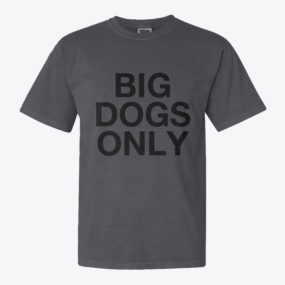 Big Dogs Only AK POWER Shirt