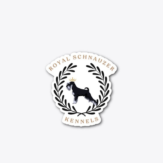 RSK Stickers | Premium Unisex T-Shirt, Trending Graphic Tee
