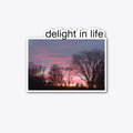 Delight in Life Shirt