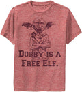 Harry Potter Kids Dobby Free Elf