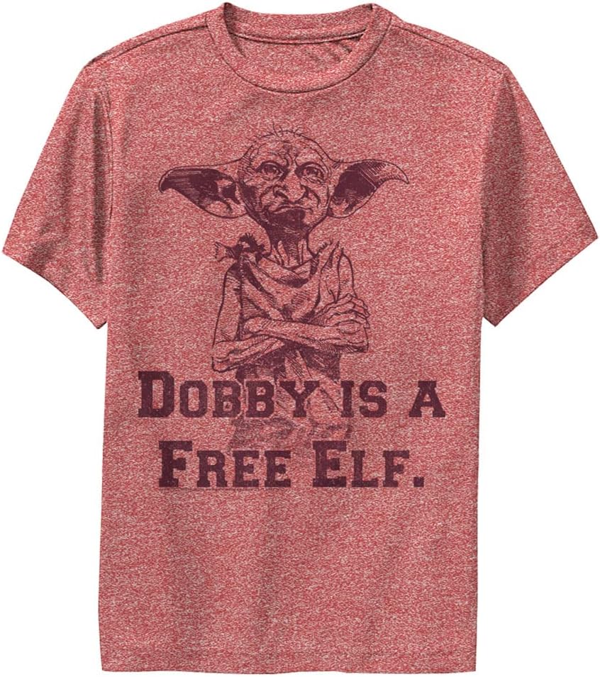 Harry Potter Kids Dobby Free Elf