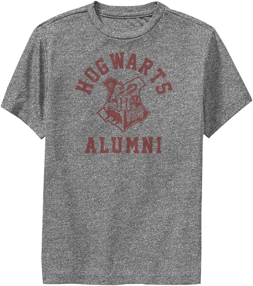 Harry Potter Kids Hog Alum T Shirt Charcoal Heather Medium