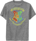 Harry Potter Kids Deathly Hallows Neon Crest Youth Pullover Hoodie