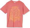 Harry Potter Kids Gryffindor Crest