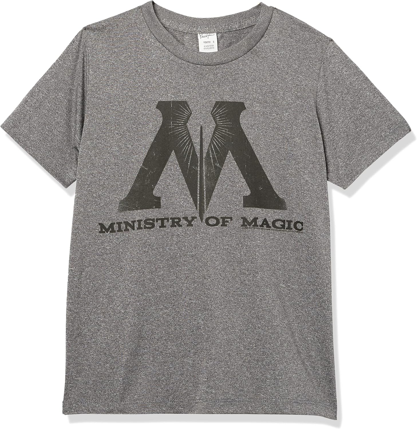 Harry Potter Kids Ministry Of Magic Logo Youth Pullover Hoodie