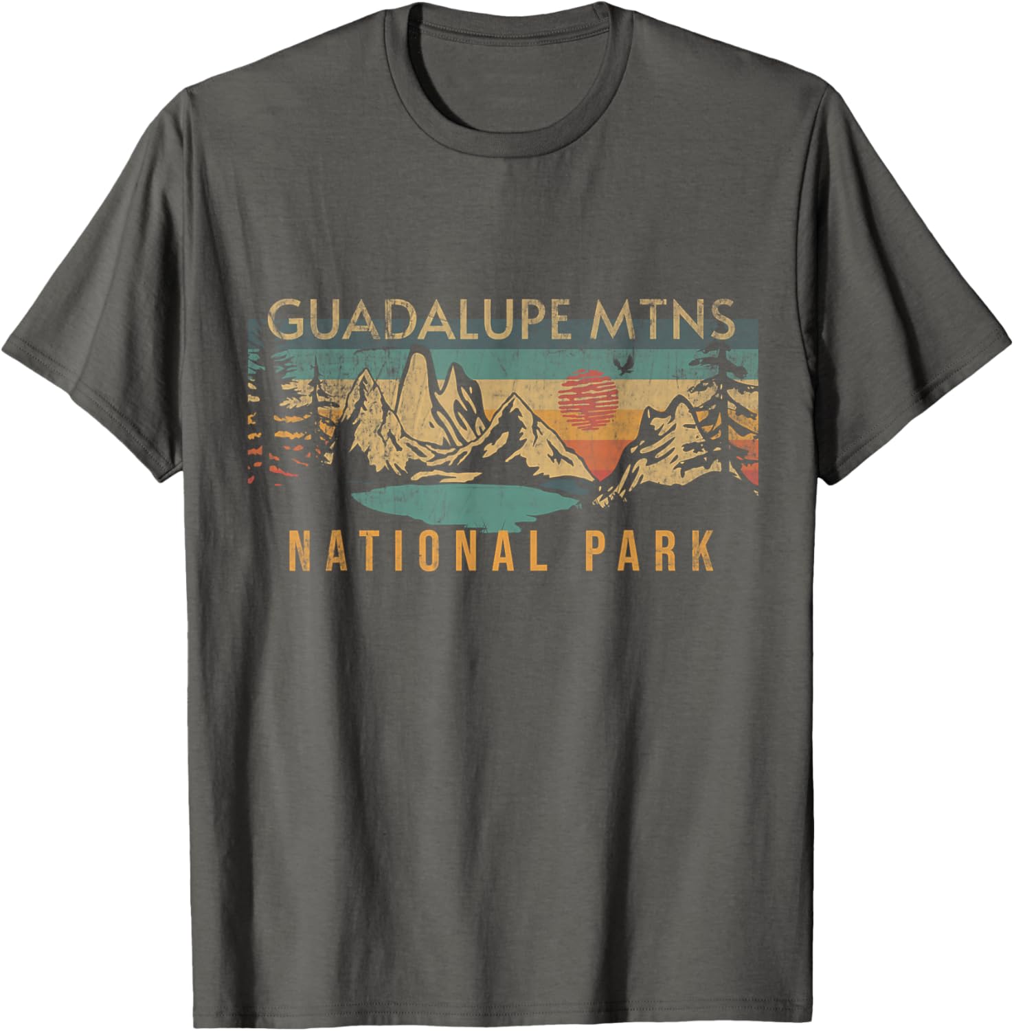 Guadalupe Mountains National Park Retro T Shirt Grey Unisex Kids Small