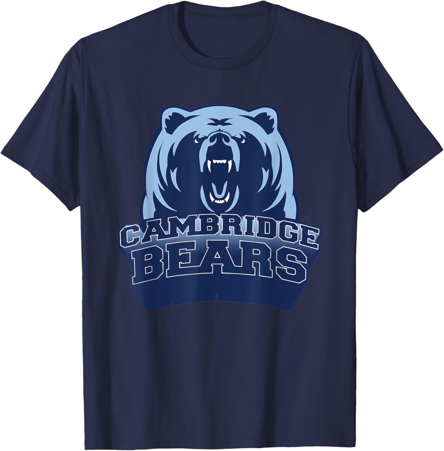 Cambridge High School Bears