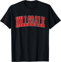 Hillsdale Mi Michigan Varsity Style Usa Vintage Sports