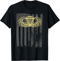 Army Parachute Wings Badge And Us Flag Airborne