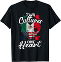 Two Cultures One Heart Usa America Mexico Mexican American