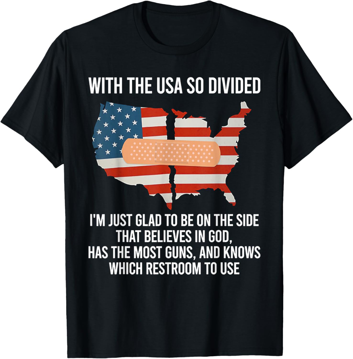 With The Usa So Divided America Flag