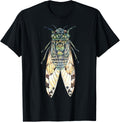 Cicada Insect Great Eastern Brood X Usa 2021 Magicicada