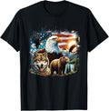 Usa Animals Bald Eagles Grizzly Bear Wolf Wilderness Nature