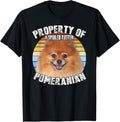 Pomeranian Property Of Retro