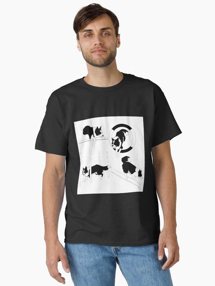 Border Collie Agility