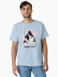 Border Collie Herd That