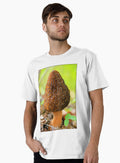 Morel Mushroom